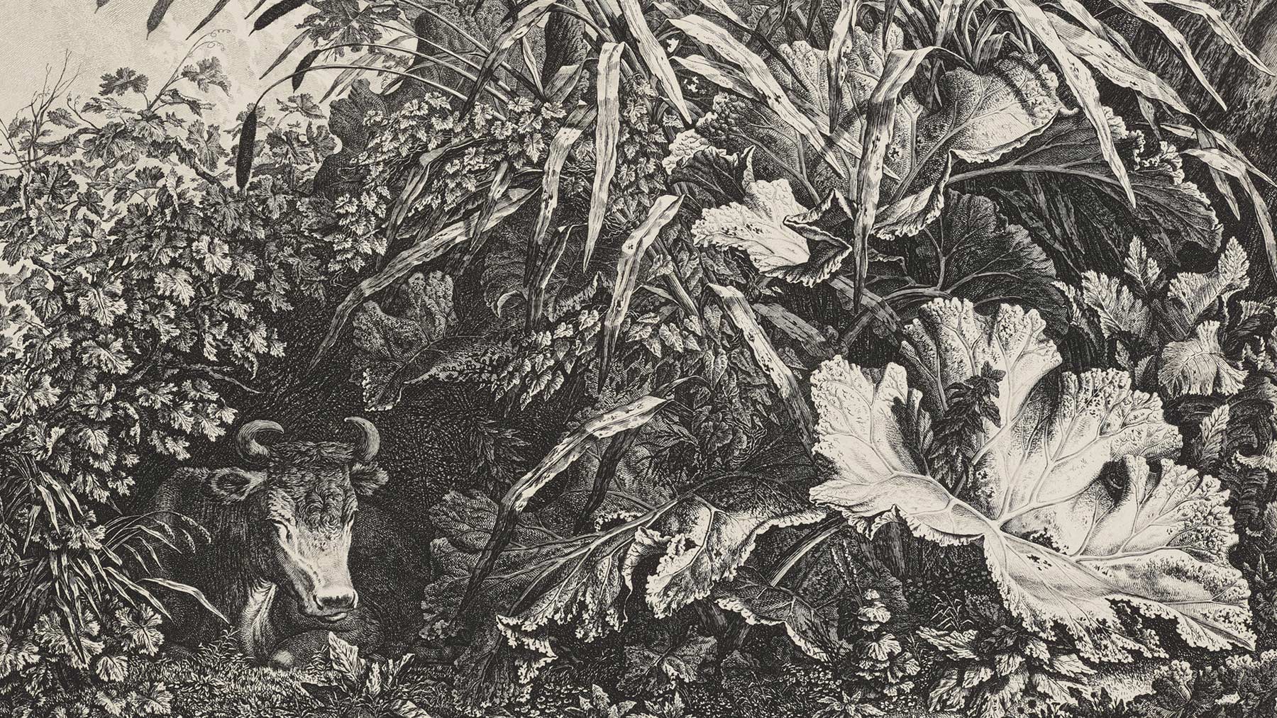 Image from Seeking Revelation: German Romantic Prints and Drawings