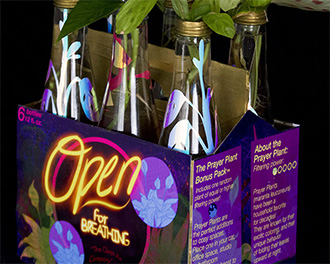 Image from 2020 Scholastic Art Awards:
Wisconsin Exhibition