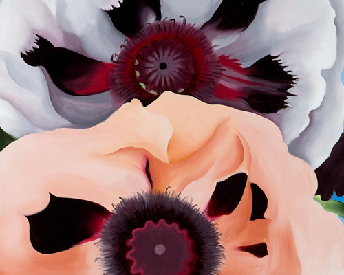 Image from Highlights of the Bradley Collection