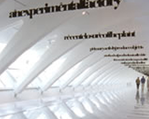 Image from On Site: Liam Gillick